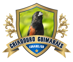 O Criadouro | Criadouro Guimarães - Curió Praia Clássico - Lunabel/GO